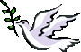 wpeB.jpg (20704 octets)